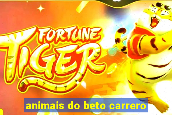 animais do beto carrero